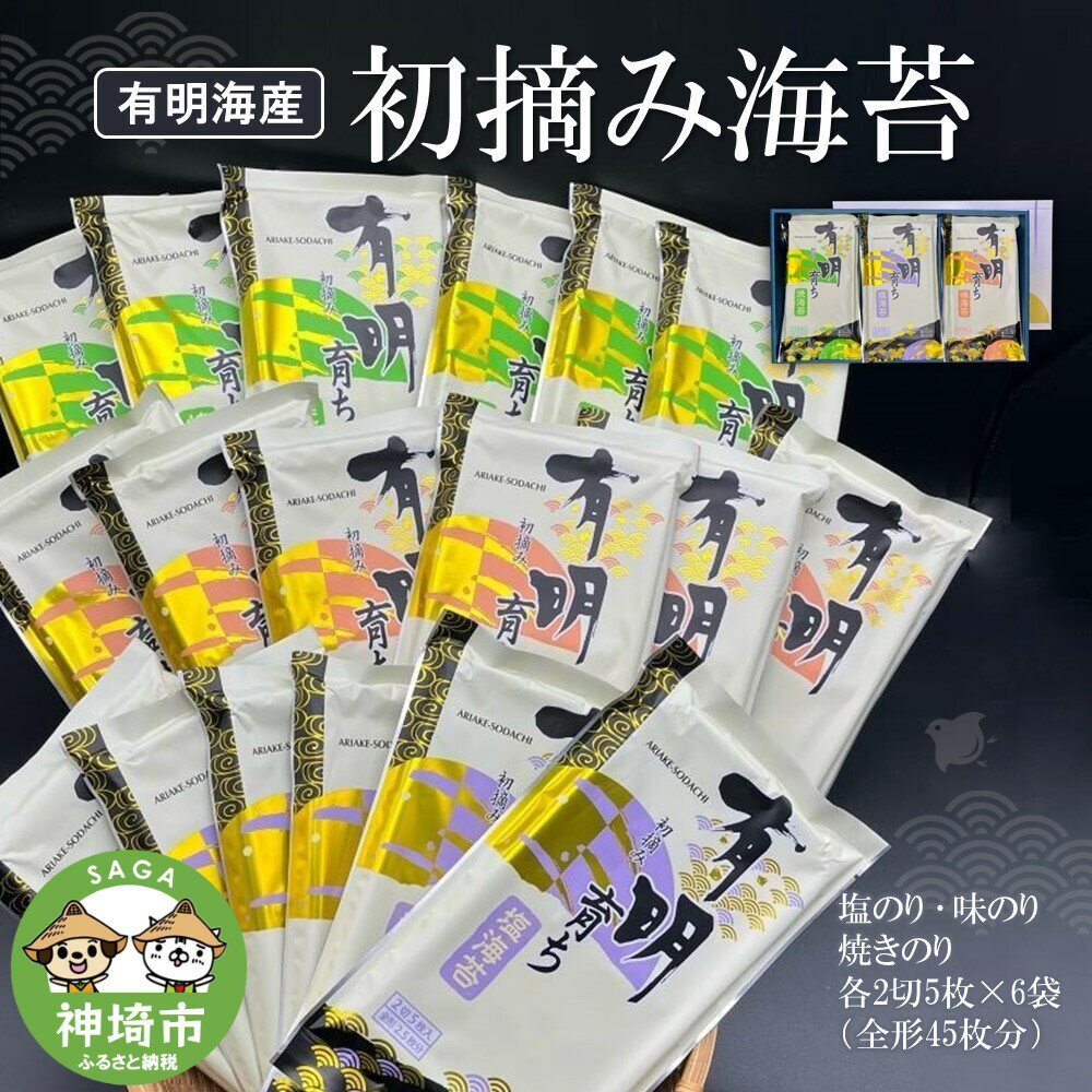 【ふるさと納税】初摘み海苔 F-SAY-48 【のり パリッと 有明海産 旨味 塩味 味付 焼き 極上 絶品 ミネラル 天然塩】(H029109)