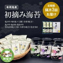 【ふるさと納税】【隔月3回定期便】初摘み海苔 BK-33 【のり パリッと 有明海産 旨味 塩味 味付 焼き 極上 絶品 ミネラル 天然塩】(H029114)