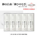 【ふるさと納税】神の白糸「神ひやむぎ」10袋入【麺 めん SDGs 佐賀県産 夏 ギフト お中元 贈り物 乾麺 保存食 井上製麺】(H057136)
