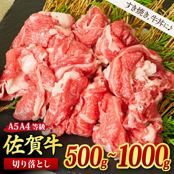 佐賀牛 贅沢 切り落とし すき焼き 牛丼 A5 A4 [500g / 1,000g]