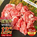【ふるさと納税】【12回定期便】佐賀牛 切り落とし 1000g(500g×2)(合計12kg)【すき焼き用牛肉 すき焼き用 すき焼き 牛丼 A5 A4 希少 国...