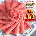 【ふるさと納税】佐賀牛 ウデスライス すき焼き用 しゃぶしゃぶ用 A5 A4 【400g / 500g / 800g / 1,000g】