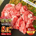 【ふるさと納税】【10ヶ月定期便】佐賀牛 贅沢 切り落とし 800g(合計8kg)(H085187)