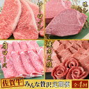 【ふるさと納税】【4回定期便】 佐賀牛 みんなで贅沢 お楽しみ便(合計3.8kg)(H085150)
