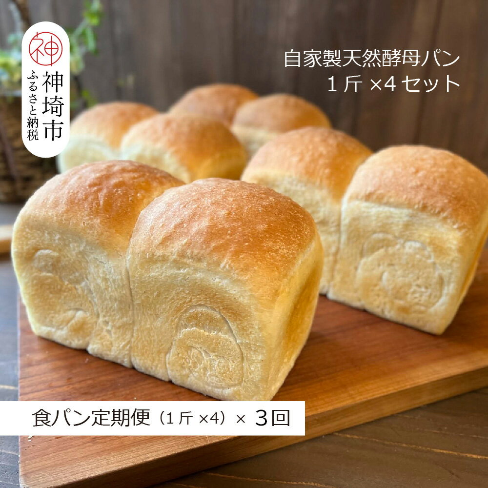 【ふるさと納税】【定期便3回】自家製天然酵母の食パン 4斤【パンと器のコネル】(H094126)