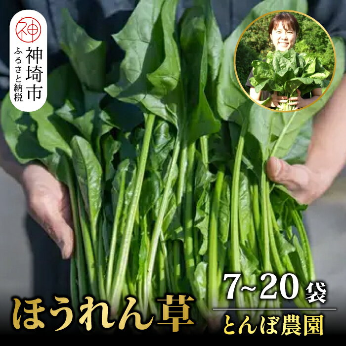 野菜・きのこ(ほうれん草)人気ランク21位　口コミ数「0件」評価「0」「【ふるさと納税】佐賀県脊振山麓産 ほうれん草【1kg / 1.8kg / 3kg】」