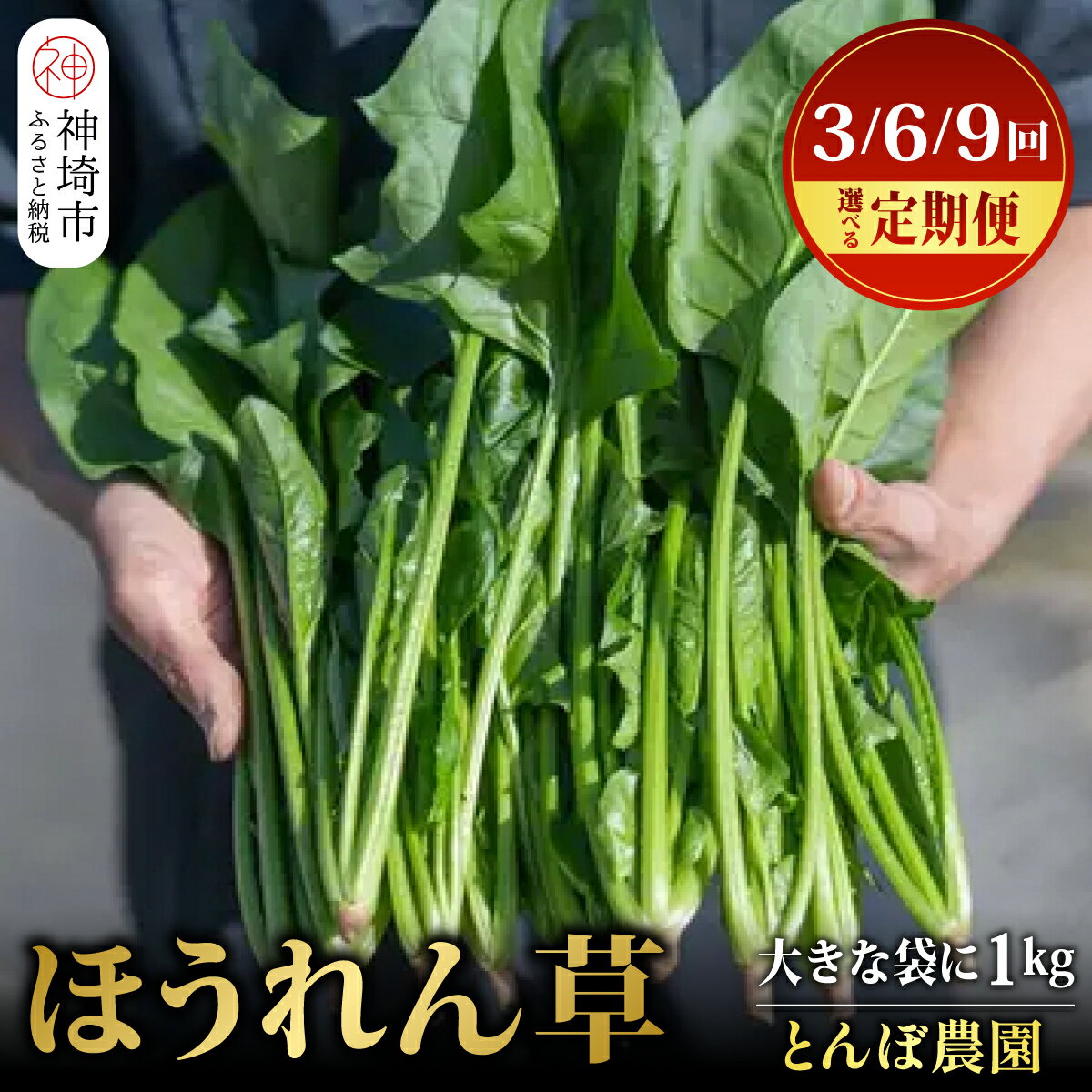 【ふるさと納税】佐賀県脊振山麓産 ほうれん草 1kg バラ詰め（大きな袋に1kg）【定期便 3回 / 6回 / 9回】