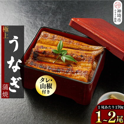 職人手焼き 国産特大うなぎ蒲焼【1尾 / 2尾セット】（1尾当たり約170g前後）(H097107)