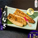 【ふるさと納税】職人手焼き 国産特大うなぎ白焼【1尾 / 2尾セット 】(1尾当たり約170g前後)(H097108)