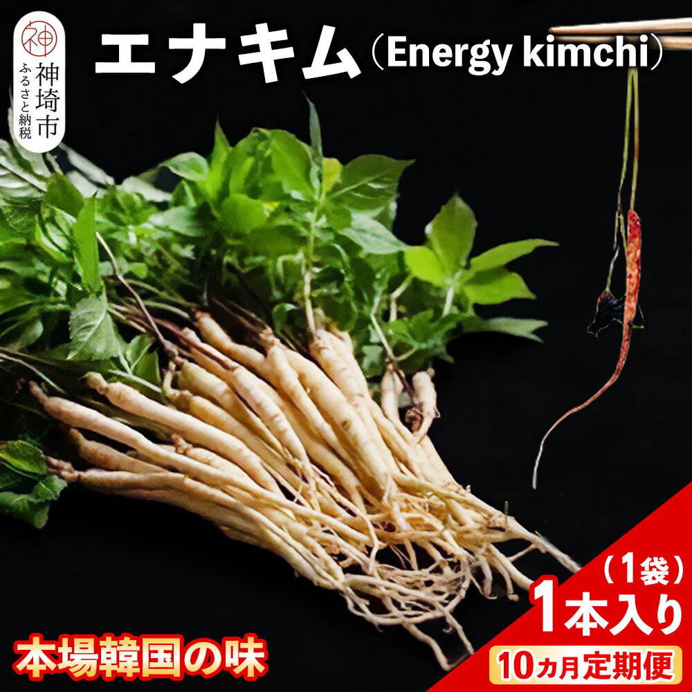 【ふるさと納税】【10カ月定期便】【一子相伝】秘伝のエナキム(高麗人参スプラウト・キムチ)1袋1本入り【本場の味 秘伝の味 韓国 ピリ辛 健康志向 滋養強壮】(...