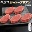 【ふるさと納税】佐賀牛シャトーブリアン(200g×5枚)【佐賀牛 ブランド牛 国産牛 記念日 お祝い ご褒美 真空パック ふるさと納税】(H107110)