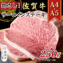 【ふるさと納税】艶さし!【A4~A5】佐賀牛サーロインステーキ 250g(250g×1枚)【肉 牛肉 ブランド牛 黒毛和牛 ステーキ肉 ふるさと納税】(H112104)