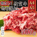 【ふるさと納税】艶さし!【A4〜A5】佐賀牛切り落とし 500g【肉 牛肉 ブランド牛 黒毛和牛 ふるさと納税】(H112143)