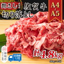 【ふるさと納税】【12か月定期便】艶さし!【A4~A5】佐賀牛切り落とし 400g×12回【肉 牛肉 ブランド牛 黒毛和牛 ふるさと納税】(H112174)