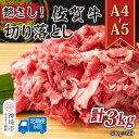 【ふるさと納税】【6か月定期便】艶さし!【A4〜A5】佐賀牛切り落とし 500g×6回【肉 牛肉 ブランド牛 黒毛和牛 ふるさと納税】(H112176)