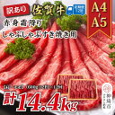 【ふるさと納税】【12か月定期便】訳あり!【A4〜A5】佐賀牛赤身霜降りしゃぶしゃぶすき焼き用(肩・モモ) 1.2kg(600g×2P)×12回【肉 牛肉 ブラ...