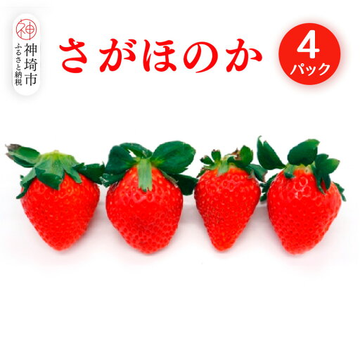【ふるさと納税】【2026年1月上旬より発送開始】さがほのか4パック【果物 くだもの フルーツ いちご イチゴ 苺 佐賀】(H116134) 【ふるさと納税】【2026年1月上旬より発送開始】さがほのか4パック【果物 くだもの フルーツ いちご イチゴ 苺 佐賀】(H116134)