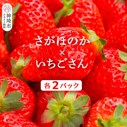 【ふるさと納税】【2026年1月上旬より発送開始】苺(さがほのか・いちごさん)各2パック【果物 くだもの フルーツ イチゴ 佐賀】(H116136) 【ふるさと納税】【2026年1月上旬より発送開始】苺(さがほのか・いちごさん)各2パック【果物 くだもの フルーツ イチゴ 佐賀】(H116136)