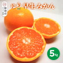 【ふるさと納税】【2025年9月下旬より発送開始】ゆら早生みかん 5kg【みかん 柑橘 フルーツ デザート】(H116140)(4)
