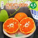 【ふるさと納税】【2026年4月上旬より発送開始】南津海(なつみ)みかん 4.5kg【みかん 柑橘 オレンジ ポンカン フルーツ デザート 果汁】(H116156)