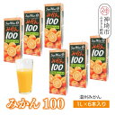 【ふるさと納税】みかん100 1L×6本入り【みかんジュース 蓋付 天然 果汁100%】(H116228)