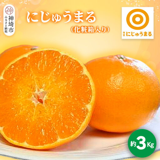 【ふるさと納税】【2026年3月上旬より発送開始】にじゅうまる 約3kg 化粧箱入り【佐賀県 みかん 柑橘 果物 くだもの フルーツ】(H116161) 【ふるさと納税】【2026年3月上旬より発送開始】にじゅうまる 約3kg 化粧箱入り【佐賀県 みかん 柑橘 果物 くだもの フルーツ】(H116161)