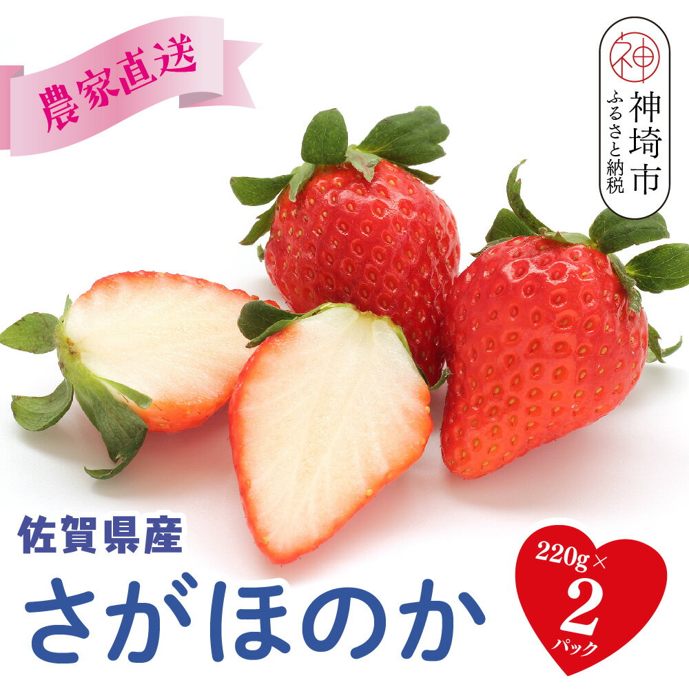 【ふるさと納税】【R8年1月より発送 農家直送】さがほのか220g×2パック【いちご 苺 イチゴ 果物 フルーツ スイーツ デザート ふるさと納税】(H117101)