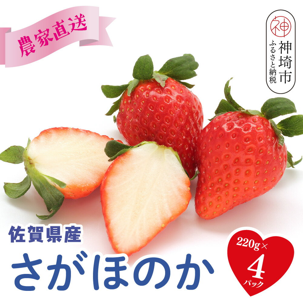 【ふるさと納税】【R8年1月より発送 農家直送】さがほのか220g×4パック【いちご 苺 イチゴ 果物 フルーツ スイーツ デザート ふるさと納税】(H117102)