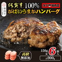 【ふるさと納税】佐賀牛100%がばいうまかハンバーグ(150g×6個)【佐賀県産 国産 佐賀牛 肉 お肉 牛肉 冷凍 無添加 個包装】(H118101)