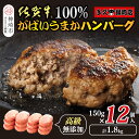 【ふるさと納税】佐賀牛100%がばいうまかハンバーグ(150g×12個)【佐賀県産 国産 佐賀牛 肉 お肉 牛肉 冷凍 無添加 個包装】(H118102)
