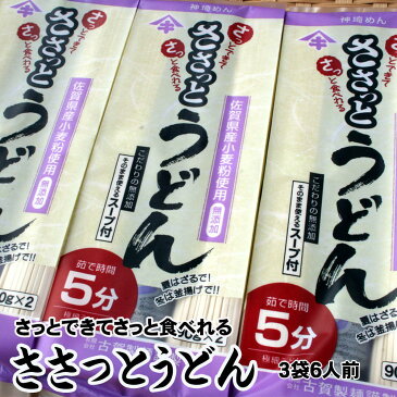 【ふるさと納税】さっとできてさっと食べられる ささっとうどん 3入 (H014102)