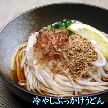 【ふるさと納税】さっとできてさっと食べられる ささっとうどん 3入 (H014102)