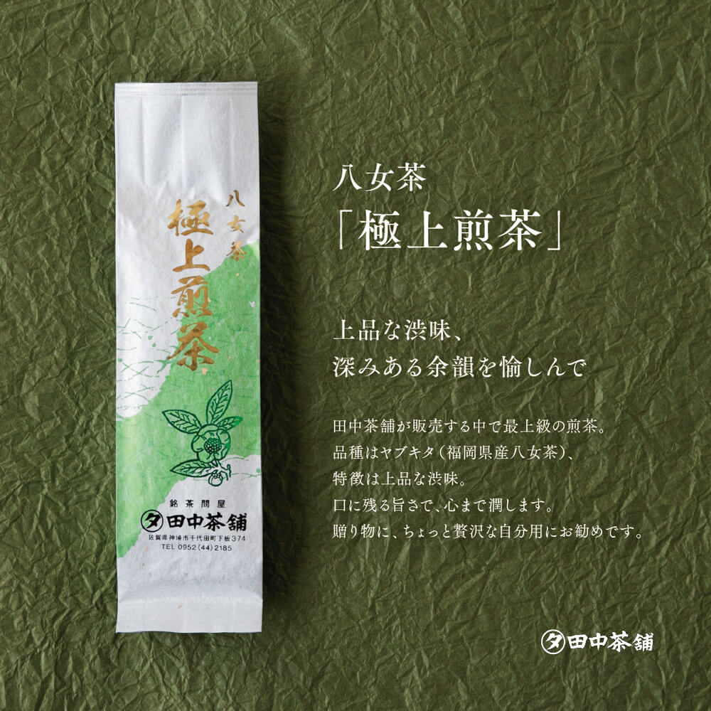 【ふるさと納税】八女茶「極上煎茶」2本・九州銘茶「特上煎茶」八重2本飲み比べセット 【佐賀県産 銘茶 嬉野茶 知覧茶 まろやか コク 香り お徳用】(H047101)