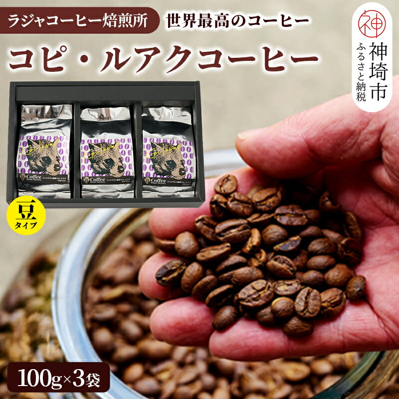 【ふるさと納税】ジャコウネコ珈琲　コピ・ルアク 100g×3袋 合計300g【最高級豆 幻のコーヒー】(H070103)