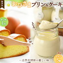 【ふるさと納税】おひさまプリン&ケーキセット【スイーツ 平飼い 無添加 有精卵 ミルン牧場 牛乳 プリン県 プリンマップ 】 (H073110)