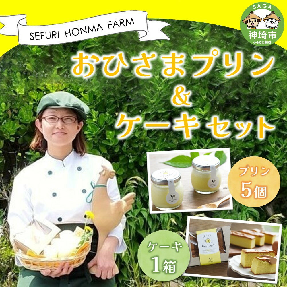 おひさまプリン&ケーキセット[スイーツ 平飼い 無添加 有精卵 ミルン牧場 牛乳 プリン県 プリンマップ ] (H073110)