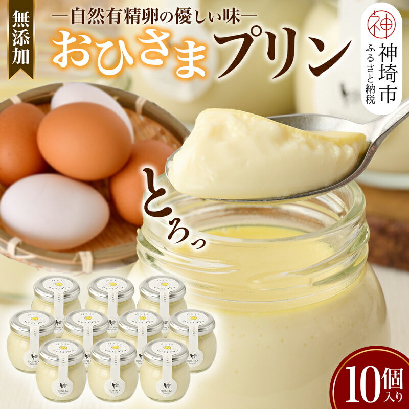 16位! 口コミ数「0件」評価「0」おひさまプリン10個セット 【スイーツ 平飼い 無添加 有精卵 ミルン牧場 牛乳 プリン県 プリンマップ】(H073109)