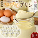 【ふるさと納税】おひさまプリン10個セット 【スイーツ 平飼い 無添加 有精卵 ミルン牧場 牛乳 プリン県 プリンマップ】(H073109)