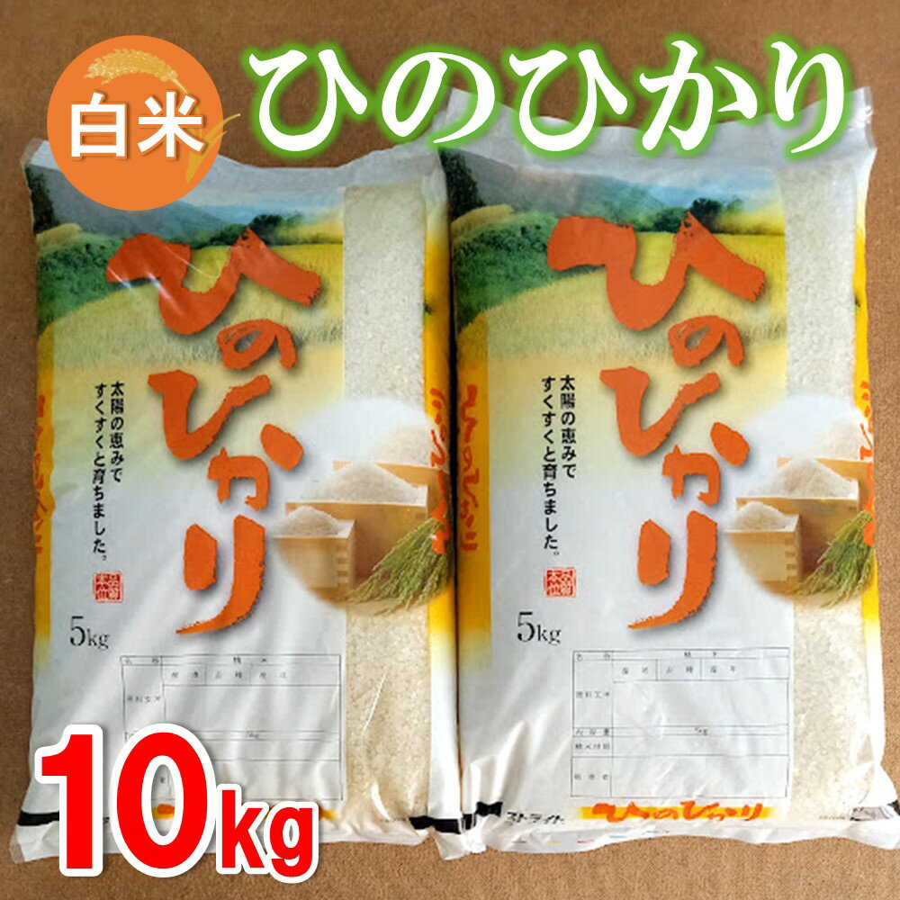ふるさと納税 当麻町 定期便 無洗米 5kg 6回 籾貯蔵今摺米きたくりん 【超ポイントバック祭】 ふるさと納税 当麻町 定期便 無洗米 5kg 6回 籾貯蔵今摺米きたくりん 【超ポイントバック祭】