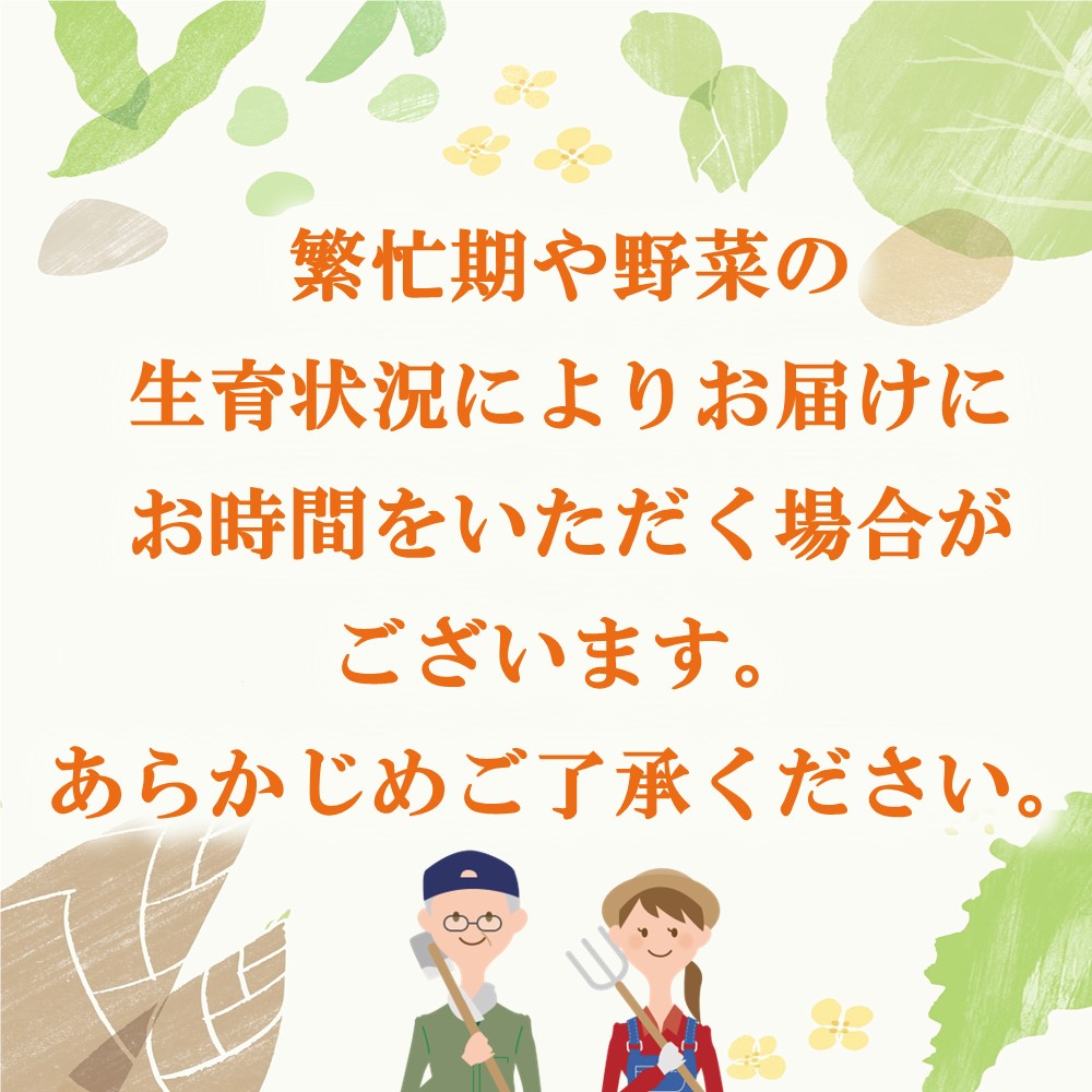 【ふるさと納税】里山で採れた野菜セットラージ 16品 【有機野菜 おまかせ野菜セット イタリア野菜 西洋野菜】(H078109)