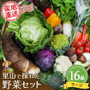 【ふるさと納税】里山で採れた野菜セットラージ 16品 【有機野菜 おまかせ野菜セット イタリア野菜 西洋野菜】(H078109)