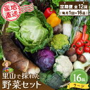 【ふるさと納税】年間定期便12回 里山で採れた野菜セットラージ 16品 【有機野菜 おまかせ野菜セット イタリア野菜 西洋野菜 定期便】(H078110)