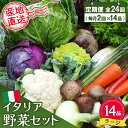 【ふるさと納税】年間定期便24回 イタリア野菜セットラージ 14品 【有機野菜 おまかせ野菜セット イタリア野菜 西洋野菜 定期便】(H078135)