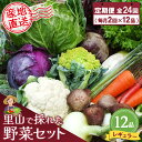 【ふるさと納税】年間定期便24回 里山で採れた野菜セットレギュラー 12品 【有機野菜 おまかせ野菜セット イタリア野菜 西洋野菜 定期便】(H078140)