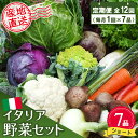 【ふるさと納税】年間定期便12回 イタリア野菜セットショート 7品 【有機野菜 おまかせ野菜セット イタリア野菜 西洋野菜 定期便】(H078146)