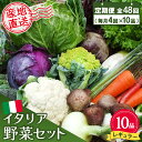 【ふるさと納税】年間定期便48回 イタリア野菜セットレギュラー 10品 【有機野菜 おまかせ野菜セット イタリア野菜 西洋野菜 定期便】(H078151)
