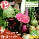 【ふるさと納税】年間定期便24回 バーニャカウダ野菜セットショート 8品 【有機野菜 おまかせ野菜セット イタリア野菜 西洋野菜 定期便】(H078142)