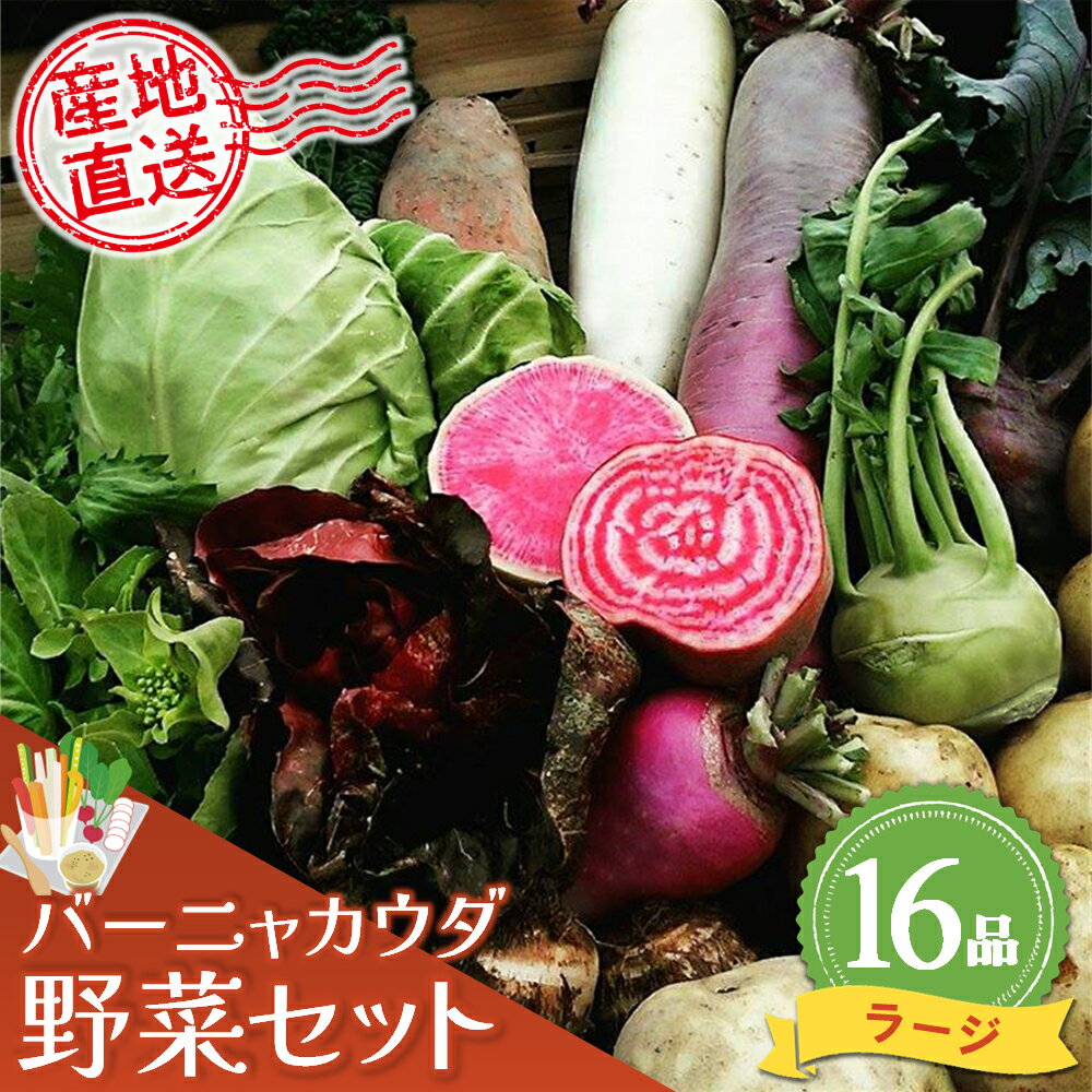 楽天市場】バーニャカウダ 野菜セットの通販 楽天市場】バーニャカウダ 野菜セットの通販