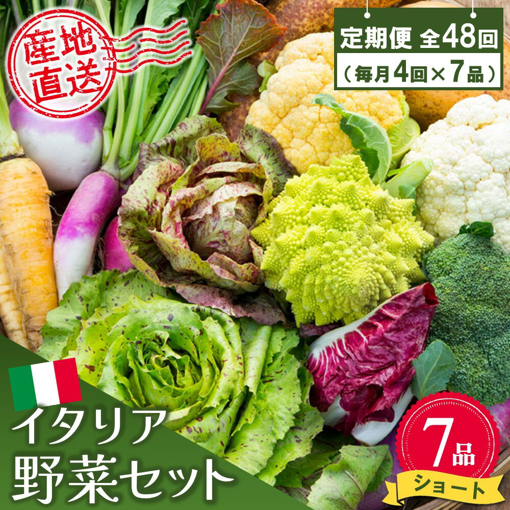 【ふるさと納税】年間定期便48回 イタリア野菜セットショート 7品 【有機野菜 おまかせ野菜セット イタリア野菜 西洋野菜 定期便】(H078128)