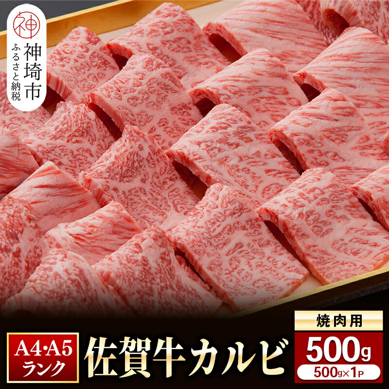 [佐賀牛]カルビ焼肉用500g [グルメ プレゼント ギフト 肉 牛肉 ブランド牛 国産 和牛](H081107)